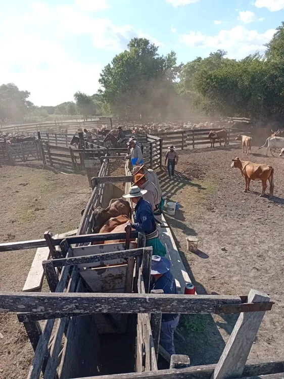 img-20250304-wa0019-67c77aed6155f454280121