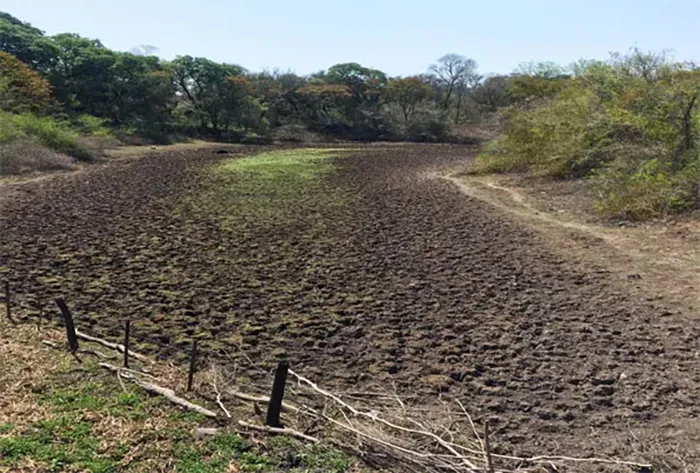 Sequia-CampoPciaPlaza