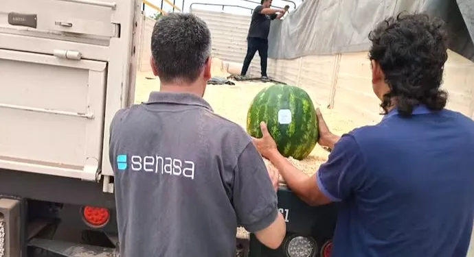 senasasandia-690x375