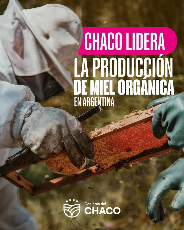 26cdc9b2-9eb3-4107-a1e0-5e603fd02f62