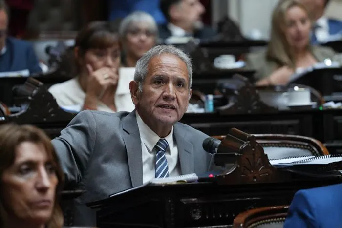 Congreso-Diputado-SergioPalazzo