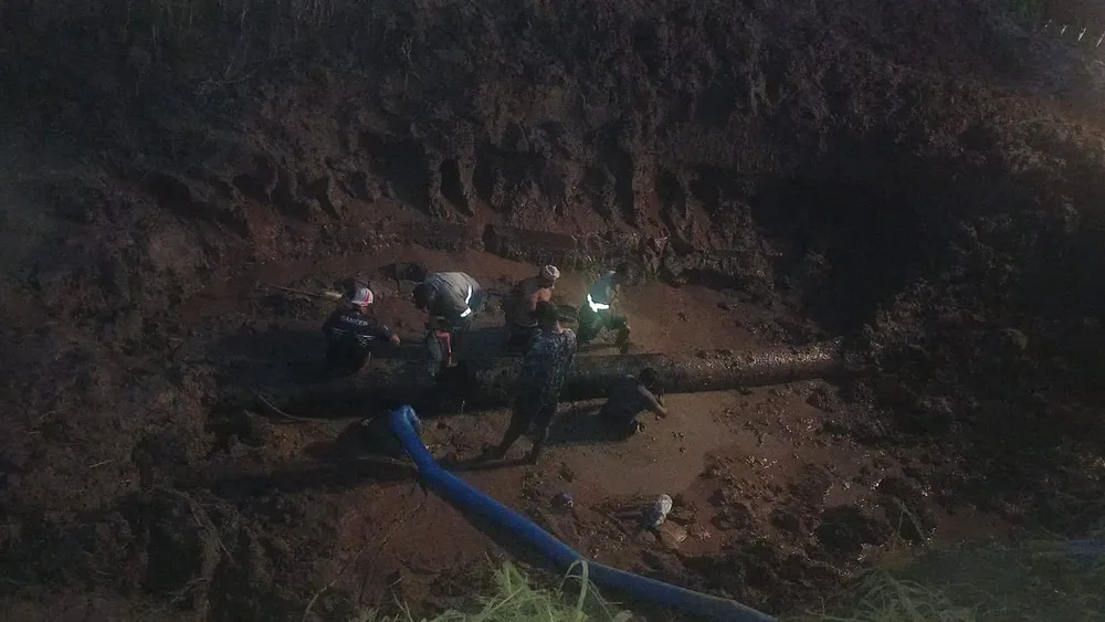 1000145106-69889dfdc5100111278167