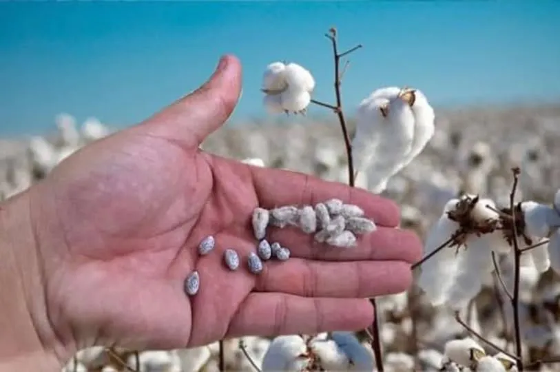 564999205_17983882634910136_4596399407252807663_n