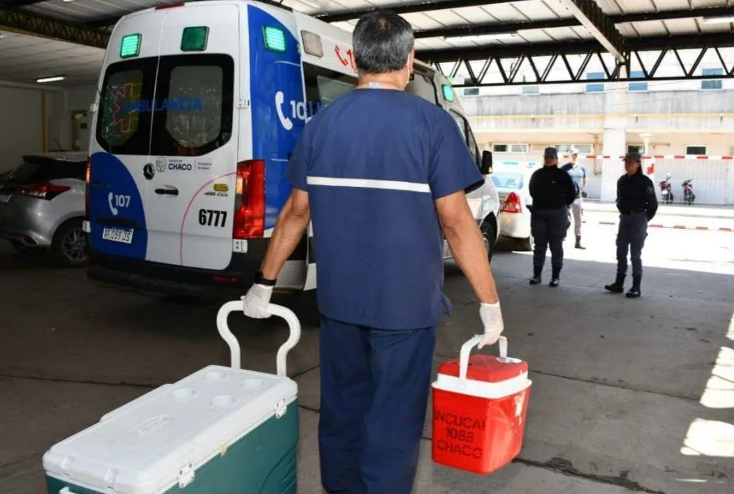 whatsapp-image-2025-11-05-at-13-10-52-690b77940be45530428124