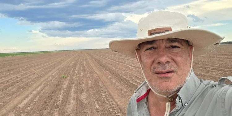 chaco-algodon-3-e1773078070550-750x375