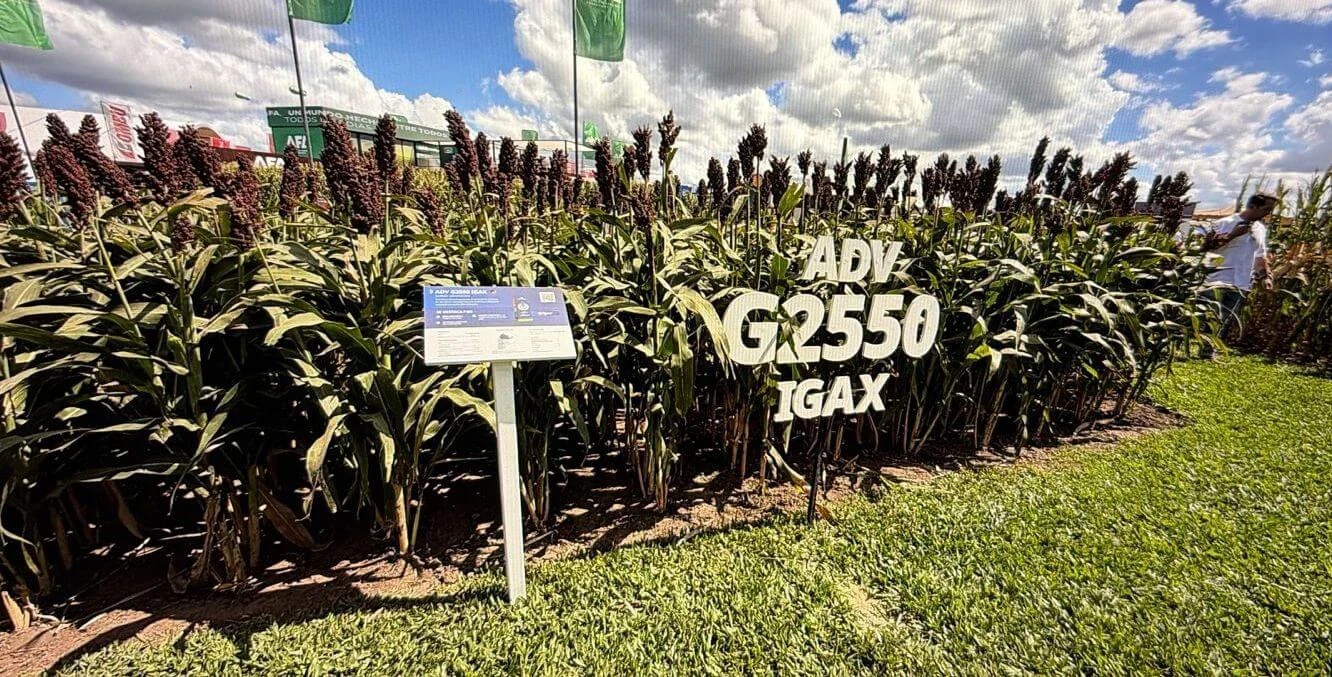 WhatsApp-Image-2026-04-07-at-3.54.54-PM