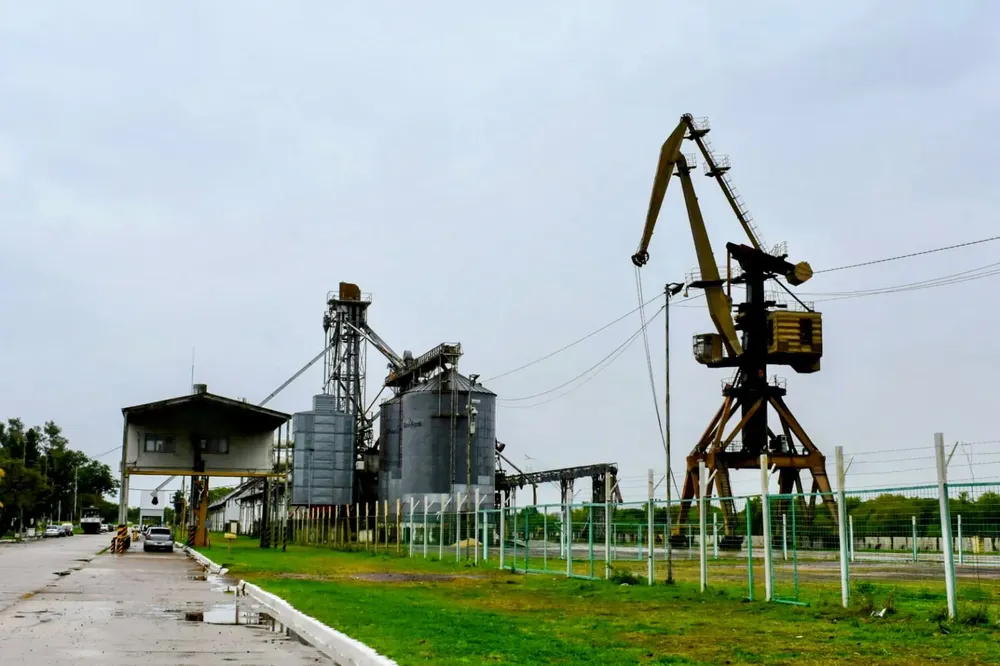 1000026303-6894df9adf978252576085