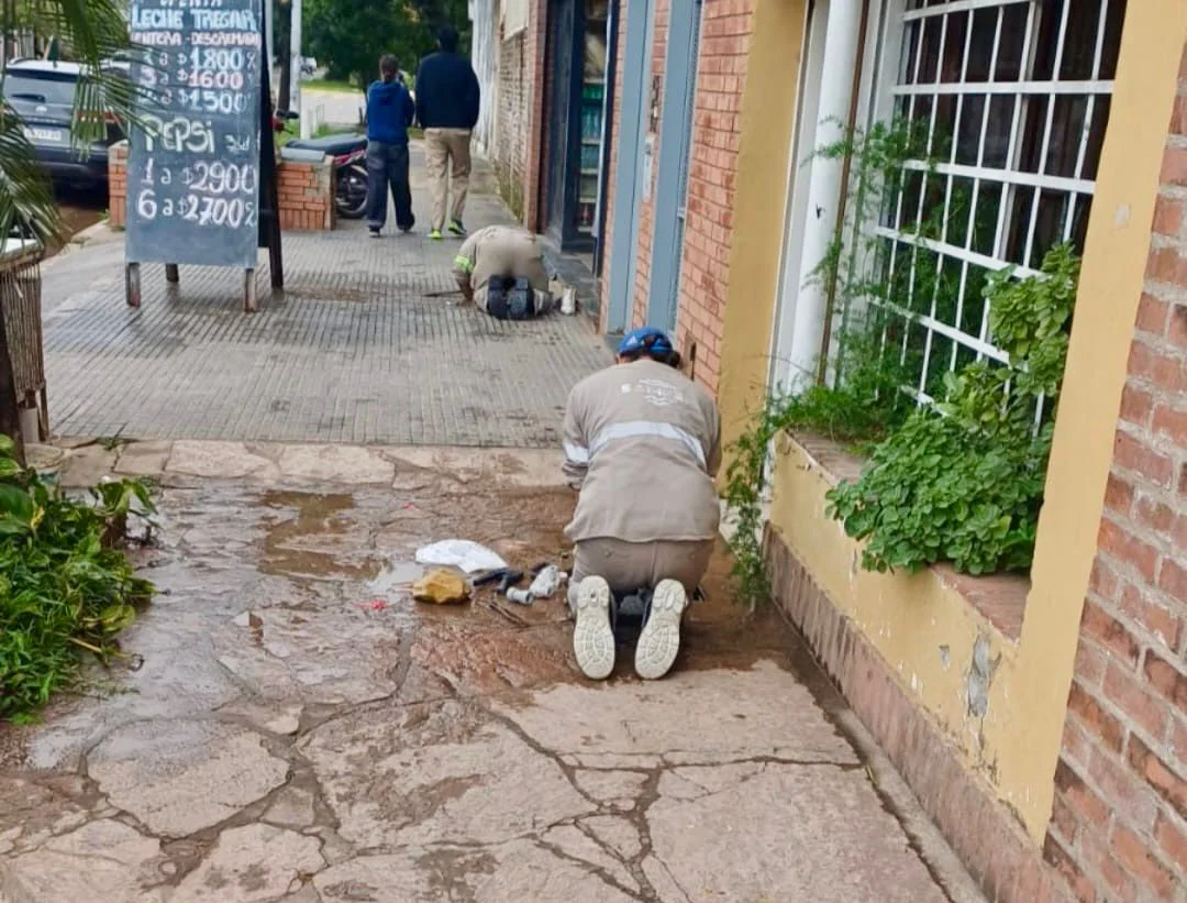 whatsapp-image-2026-03-17-at-7-53-25-pm-69b9dbdbee35d532540107