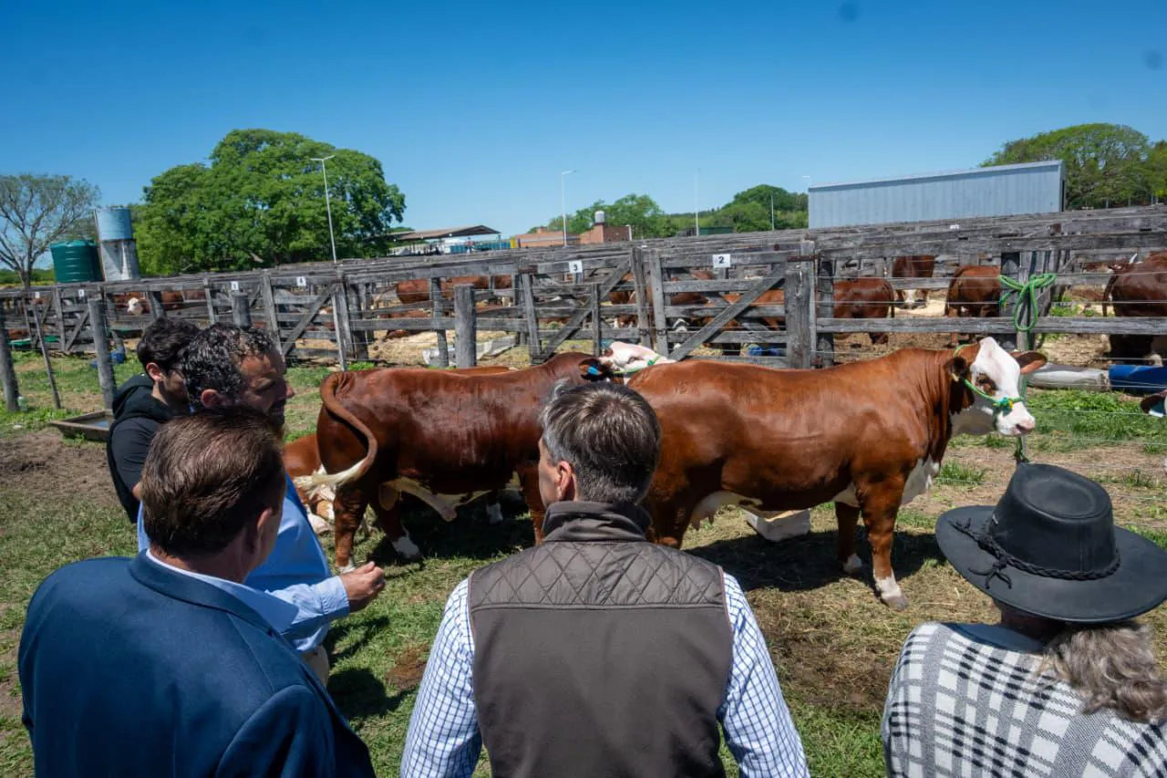 whatsapp-image-2025-10-07-at-6-00-49-pm-68e580277b250173546657