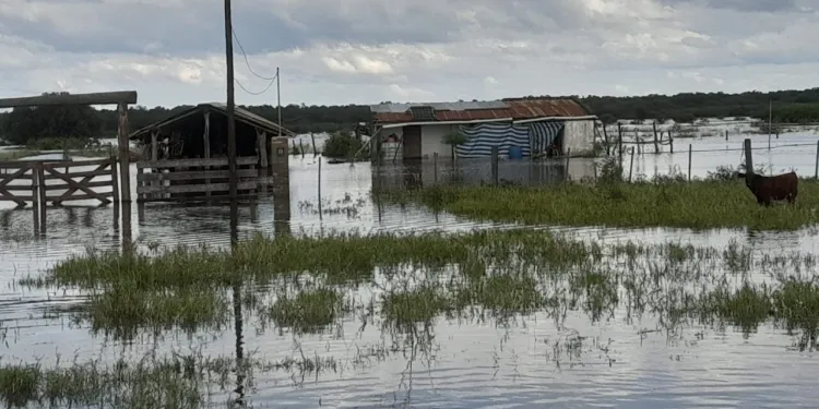 WhatsApp-Image-2025-05-09-at-10.27.08-AM-e1746802210691-750x375