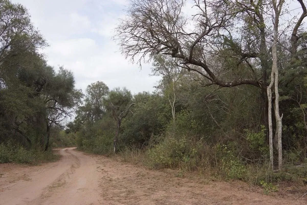 photo-5091390933353737852-y-67d4991e59caa491875564