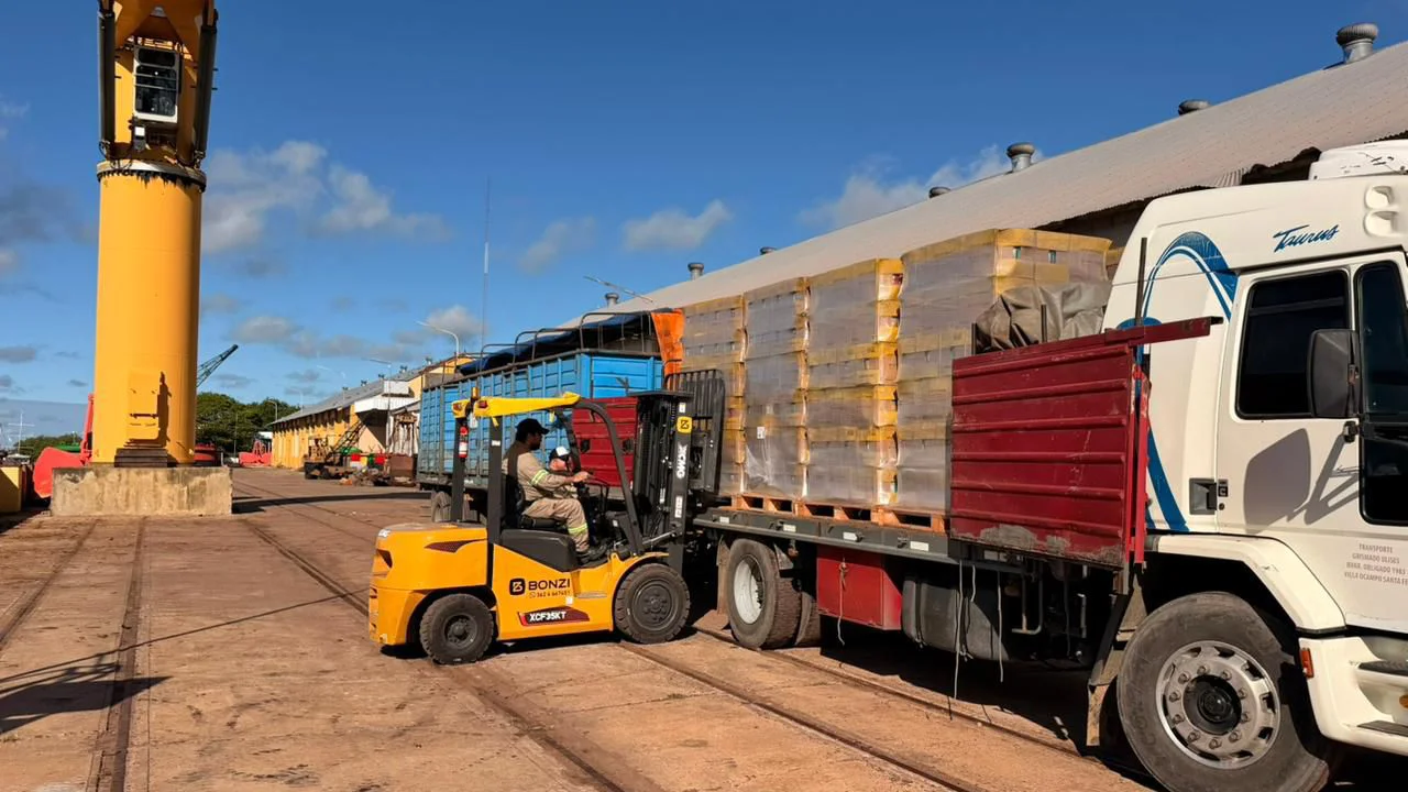 1000181169-69d92f0837a55880005855