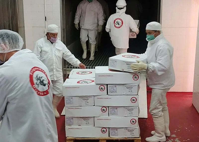 ProduccionCaprina-EmbarqueFrigPpaInfierno